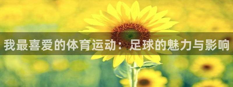 J9官方正版app娱乐下载：我最喜爱的体育运动：足球