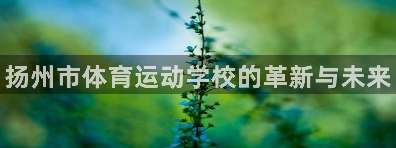 J9官方正版app集团简介：扬州市体育运动学校的革新