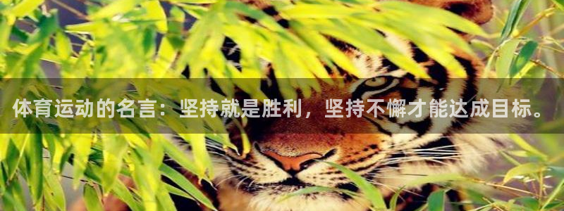 J9官方正版app官网：体育运动的名言：坚持就是胜利，坚持不