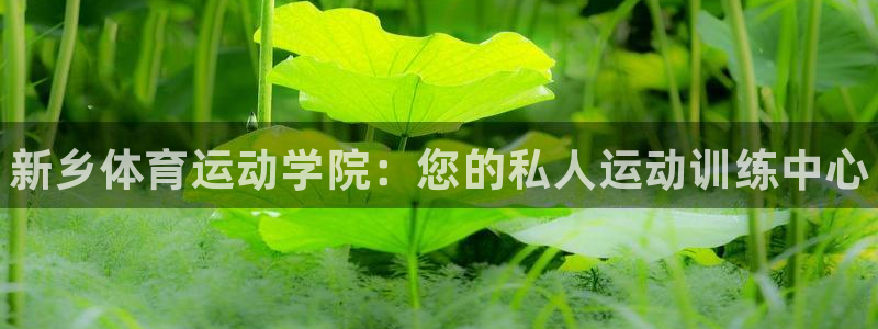 J9官方正版app娱乐下载：新乡体育运动学院：您的私