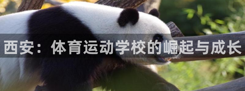 注册J9官方正版app：西安：体育运动学校的崛起与成