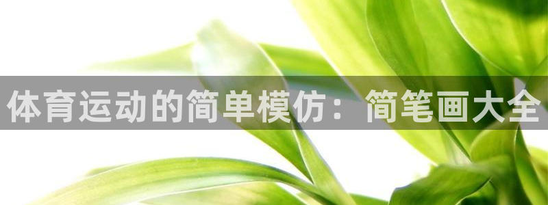 J9官网下载平台注册流程图：体育运动的简单模仿：简笔