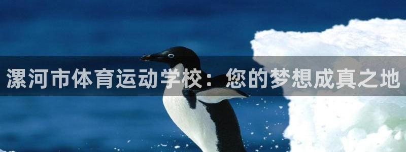 J9官网下载平台是正规平台吗安全吗：漯河市体育运动学校：您的