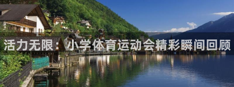 J9官方正版app娱乐首页官网下载：活力无限：小学体