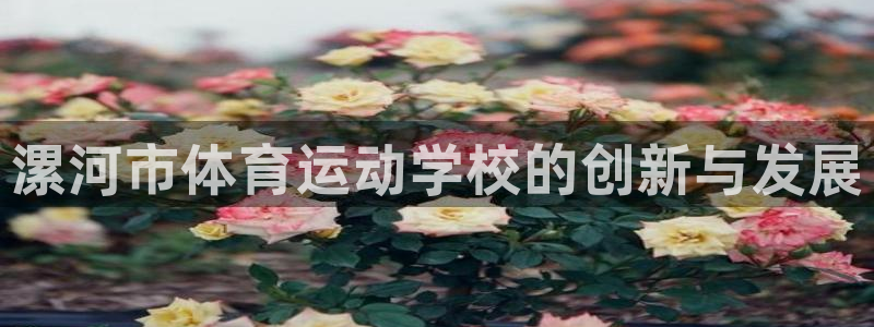 J9官网下载平台：漯河市体育运动学校的创新与发展